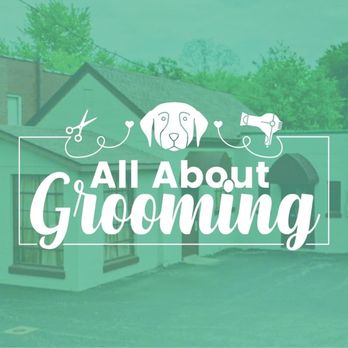 All About Grooming - Pet Groomers Near Me - Vienna, Illinois