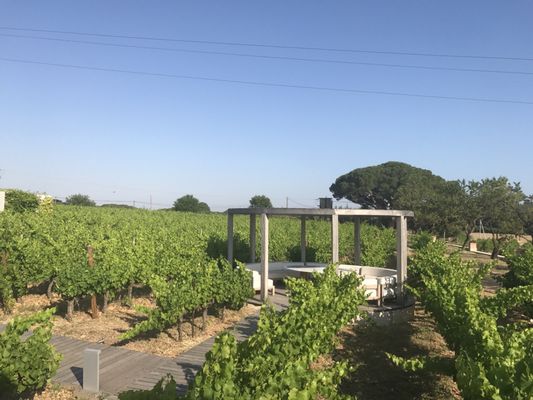 Domaine de Verchant by null