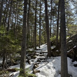 Grafton Notch State Park - 3.28.2026
