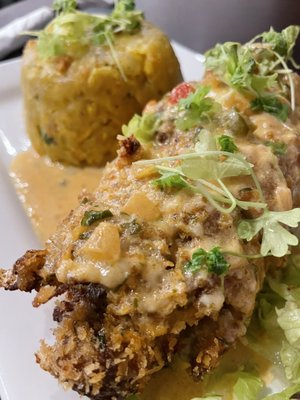 THE CHIMI SPOT by null