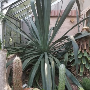 Highland Park - Conservatory - Parks Near Me - Rochester, New York Highland Park - Conservatory - Parks Near Me - Rochester, New York