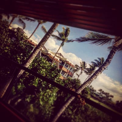 Mauna Lani Point by null