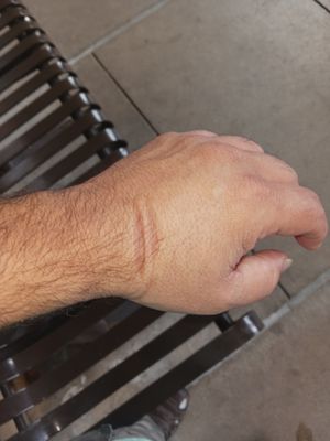 Harris Health Ben Taub Hospital by null