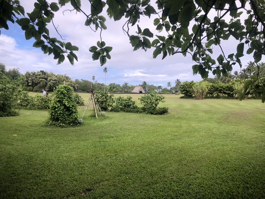Kahanu Garden, National Tropical Botanical Garden by null