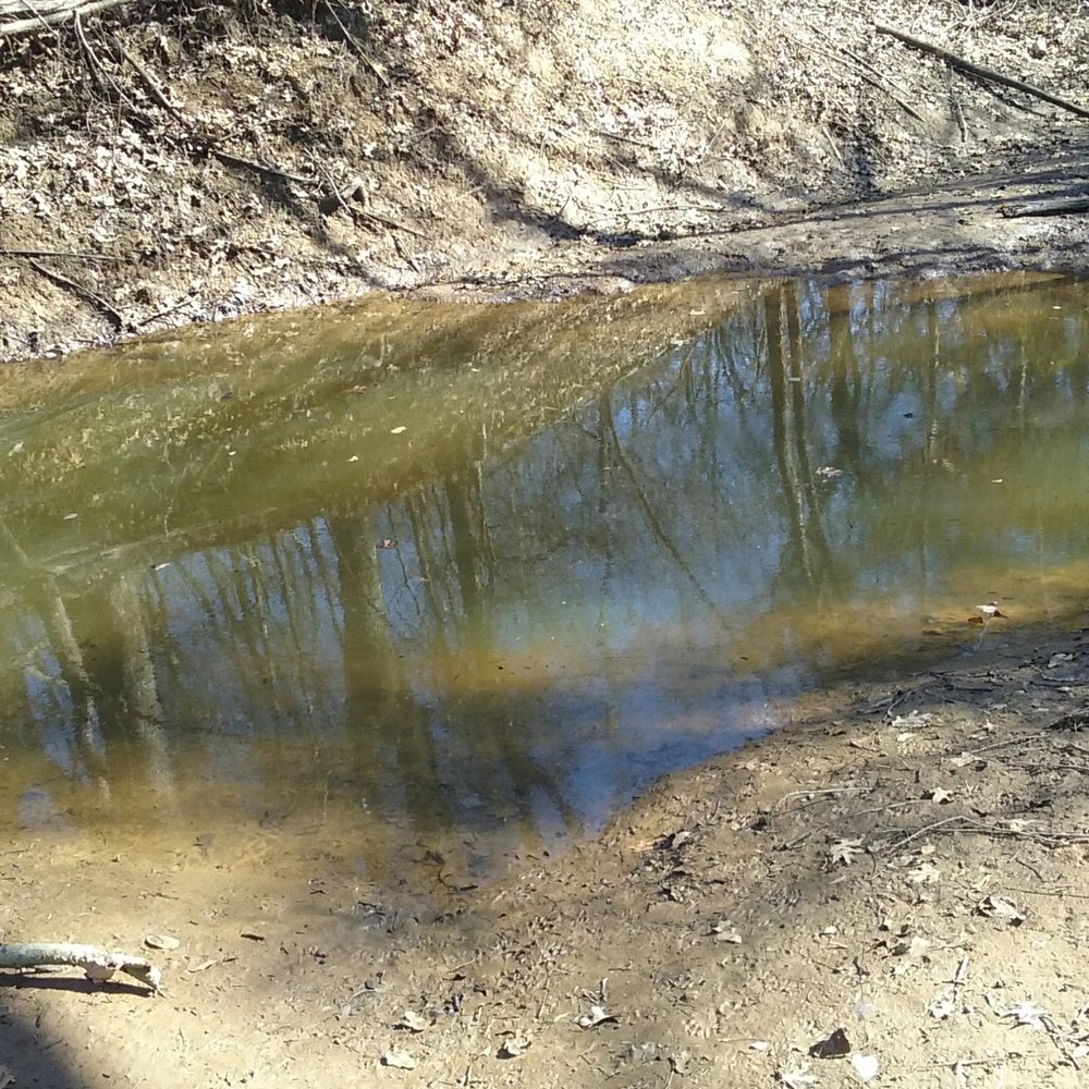 Northshore Trail - Deep water. Had to turn around. - Hiking Near Me - Flower Mound, Texas Northshore Trail - Deep water. Had to turn around. - Hiking Near Me - Flower Mound, Texas
