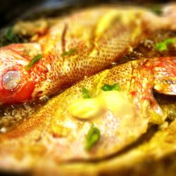 La Belle Creole Cuisine