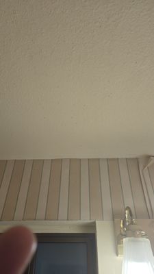 Alexander's Lodge At Mt Rainier by null