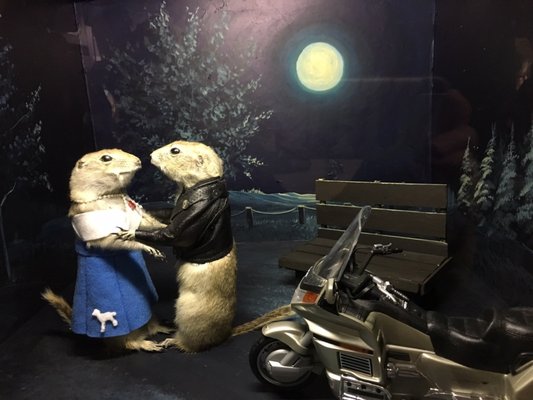 World Famous Gopher Hole Museum by null