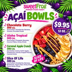 SweetFrog - Sweetfrog Açaí Signature Bowls
