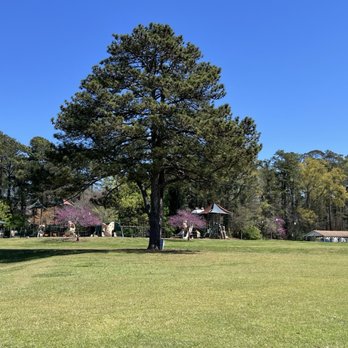 Acworth Beach - play area for kids - Beaches Near Me - Acworth, Georgia