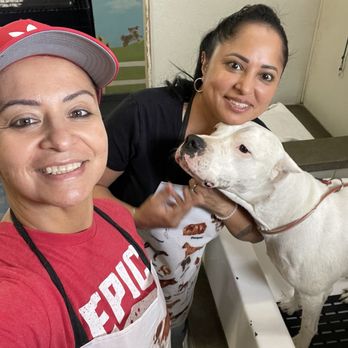 E-Z Dog Wash - Pet Groomers Near Me - Duarte, California E-Z Dog Wash - Pet Groomers Near Me - Duarte, California