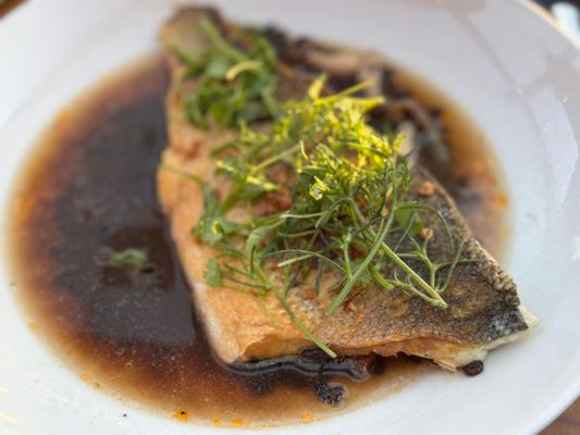 Playa Provisions by null