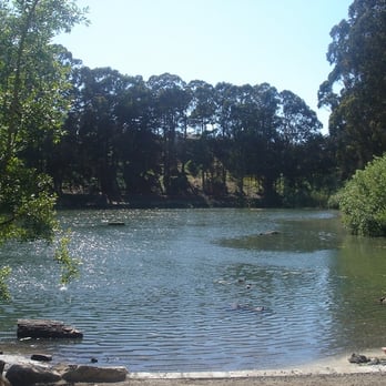 Pine Lake Park - Dog Parks Near Me - San Francisco, California Pine Lake Park - Dog Parks Near Me - San Francisco, California