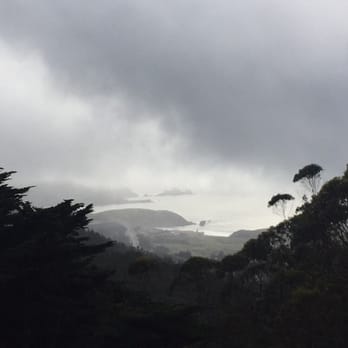 Sweeney Ridge - Even through the fog from the Skyline trail you can see Hwy 1 and Rockaway Beach - Parks Near Me - San Bruno, California Sweeney Ridge - Even through the fog from the Skyline trail you can see Hwy 1 and Rockaway Beach - Parks Near Me - San Bruno, California