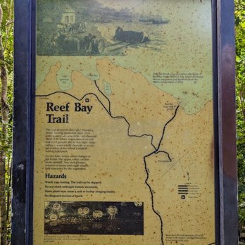 Reef Bay Trail - Hiking Near Me - Virgin Islands, Virgin Islands