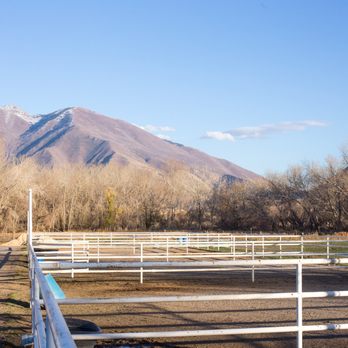 Vip Equine - Horseback Riding Near Me - Spanish Fork, Utah Vip Equine - Horseback Riding Near Me - Spanish Fork, Utah