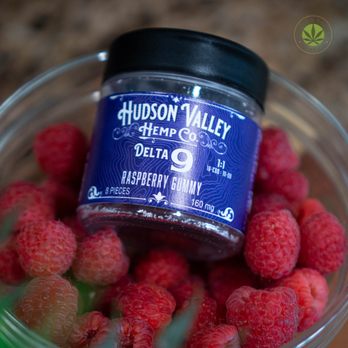 Hudson Valley Hemp - Delta 9 Raspberry gummies - Massage Therapy Near Me - Mahopac, New York Hudson Valley Hemp - Delta 9 Raspberry gummies - Massage Therapy Near Me - Mahopac, New York