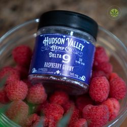 Hudson Valley Hemp - Delta 9 Raspberry gummies