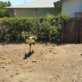 Gastelum Tree Service - Tree Services Near Me - Dixon, California