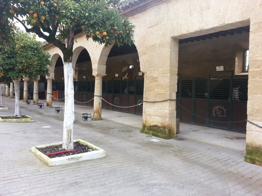 Caballerizas Reales by null