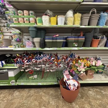 Dollar Tree - Discount Store Near Me - Apopka, Florida
