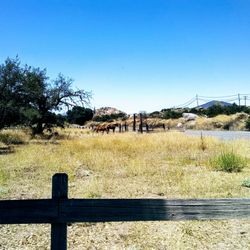Potrero Community Church