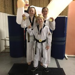 Double Dragon Martial Arts