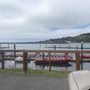 Photo of Klamath River Jet Boat Tours