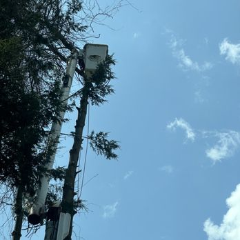Twisted Tree Service - Tree Services Near Me - Accord, New York