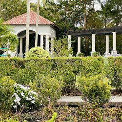 Hollis Garden