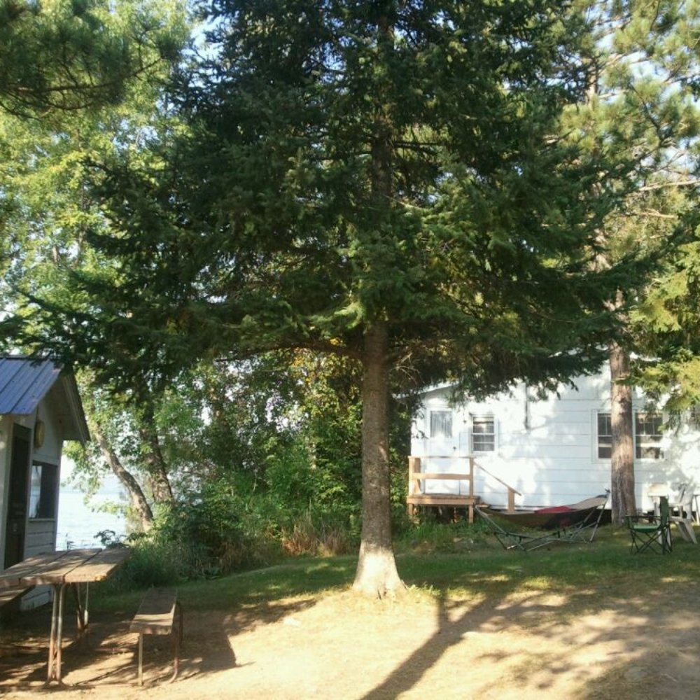 Espland's - Cabin, yard, and view of the little fish cleaning house - Hotels Near Me - Ely, Minnesota