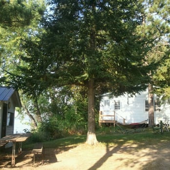 Espland's - Cabin, yard, and view of the little fish cleaning house - Hotels Near Me - Ely, Minnesota