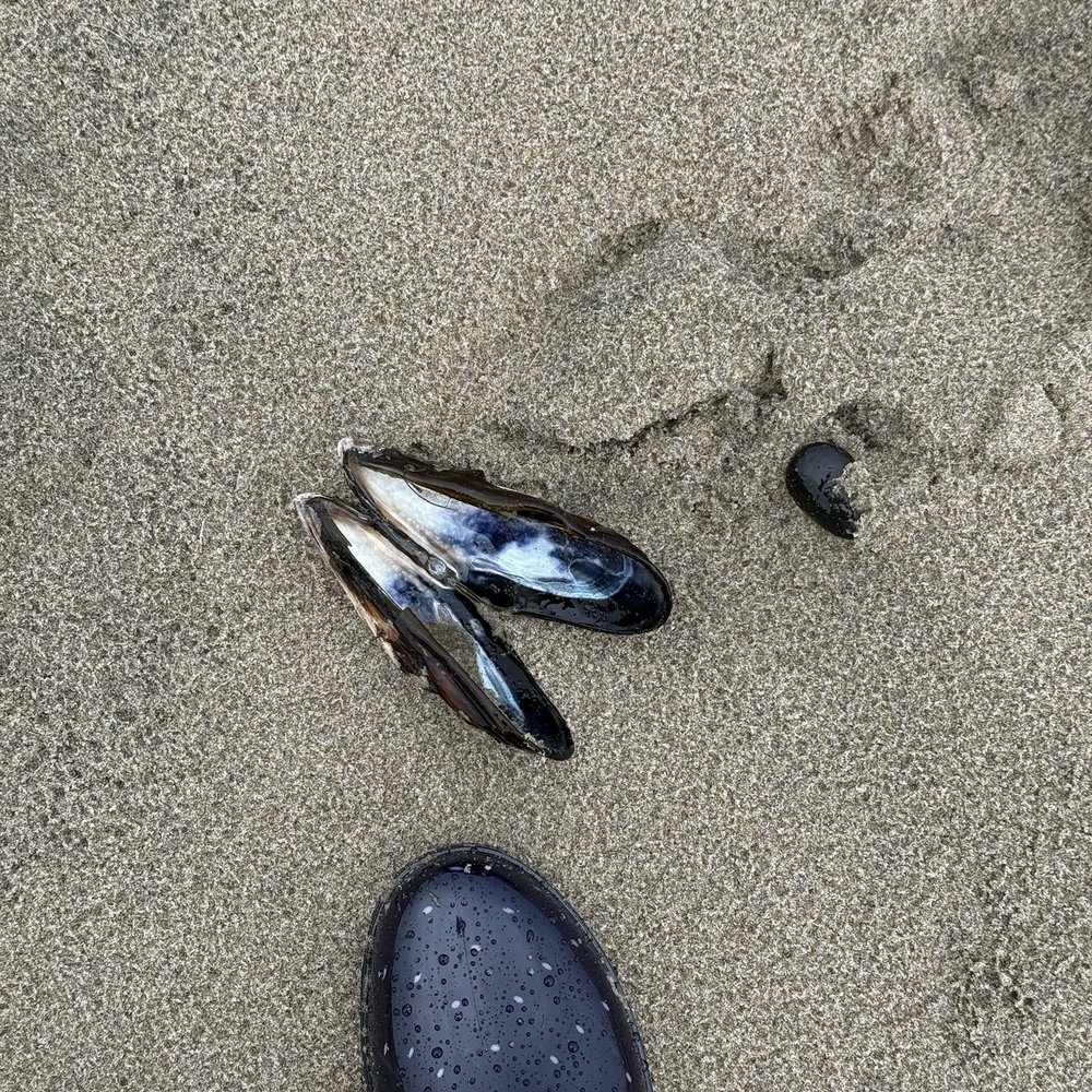 D River State Recreation Area - Looking for floats - Beaches Near Me - Lincoln City, Oregon