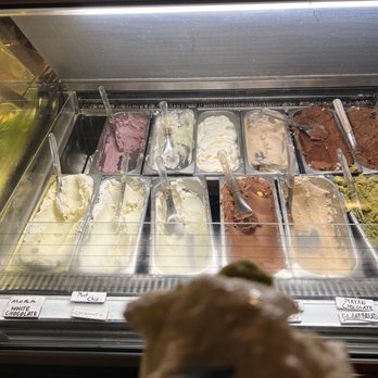 The Gelateria - Coffee & Tea Near Me - Saint Louis, Missouri The Gelateria - Coffee & Tea Near Me - Saint Louis, Missouri
