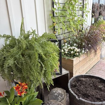 Pingle's Farm Market - Farmers Market Near Me - Hampton, Ontario