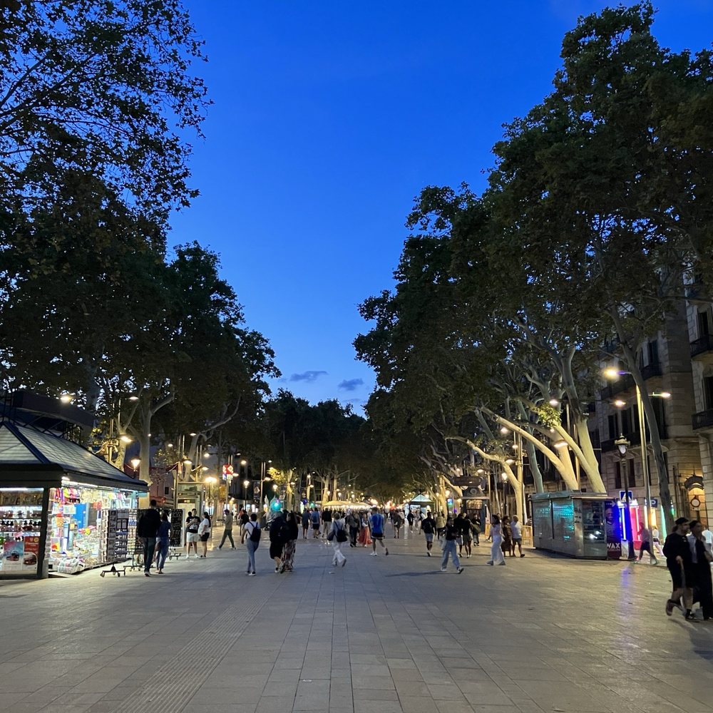 Las Ramblas - Dusk - Local Flavor Near Me - Barcelona, B