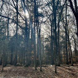 Mousetail Landing State Park
