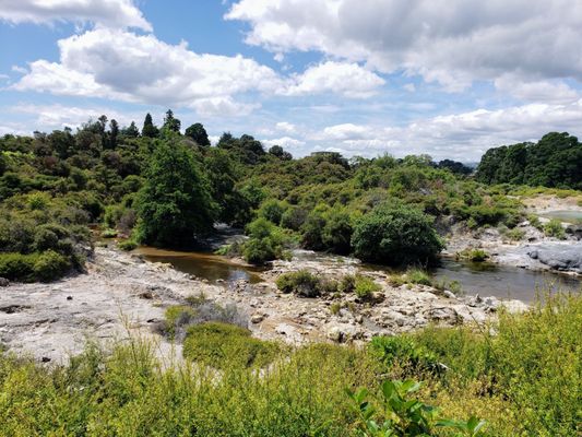 Te Puia - Rotorua, NZ by null