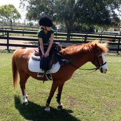 Dream Believer Stables