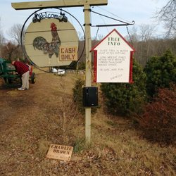 Ebenezer's Tree Farm - Cash only