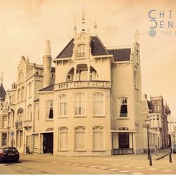 Chiropractie Den Haag.  The Hague Chiropractor