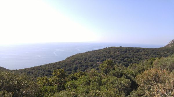 Parque Natural da Arrábida by null