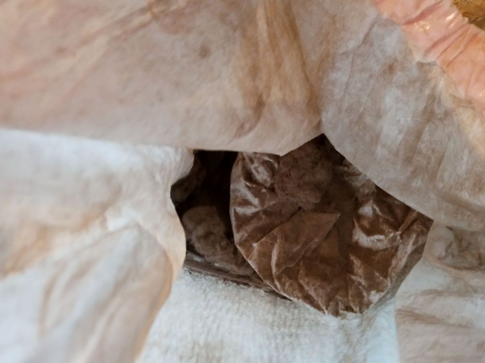 CYRUS ORIENTAL RUG Updated June 2024 949 Chicago Ave, Evanston, Illinois Carpeting Phone