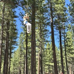 Sierra Nevada Journeys - Flying Squirrel