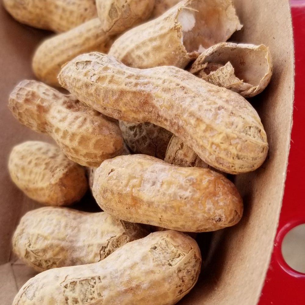 Five Guys - Peanut boat - Hot Dogs Near Me - Erie, Pennsylvania Five Guys - Peanut boat - Hot Dogs Near Me - Erie, Pennsylvania
