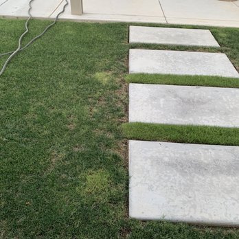 AB Tree Doctor - I finally gave up and bought sod to replace the areas between the steps that never grew back - Tree Services Near Me - Bakersfield, California