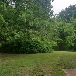 Adams Lawn Care - Details