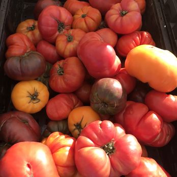 Uptown Farmers Market - Tomatoes - Farmers Market Near Me - Phoenix, Arizona
