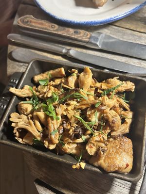 Herd Provisions by null