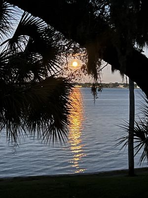 Philippe Park by null